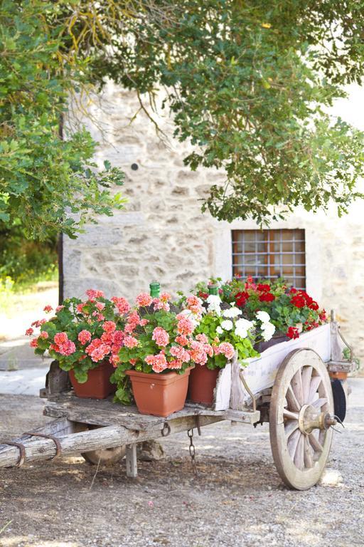 Agriturismo Tenuta Armaiolo ราโปลาโนแตร์เม ภายนอก รูปภาพ